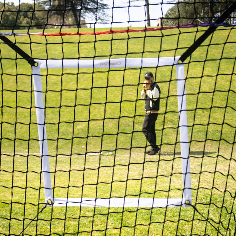 Load image into Gallery viewer, Adjustable Strike Zone Pitching Target for Baseball Net, 2 Pack