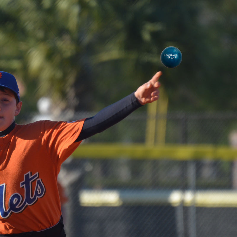 Load image into Gallery viewer, Pitching with Weighted Training Balls